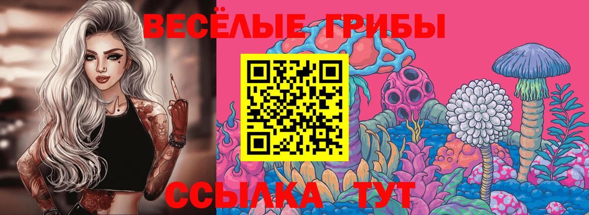 Галлюциногенные грибы мухоморы Волхов