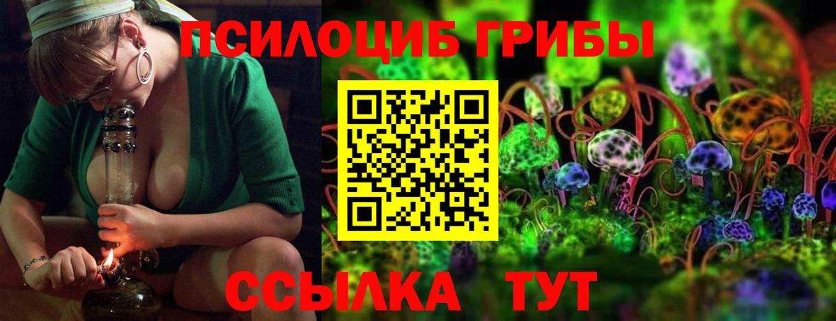 Волхов  Псилоцибиновые грибы мицелий  Вход с VPN 